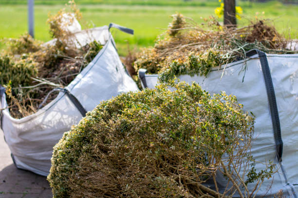 Best Junk Removal and Recycling  in Evans City, PA